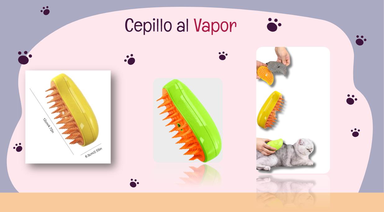CEPILLO AL VAPOR